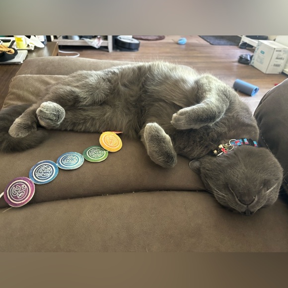 Ash 🩶 - Picture 7 of 7